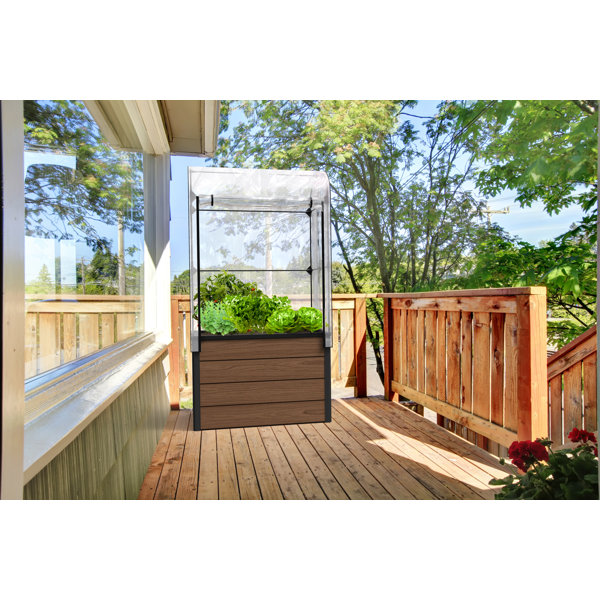 Keter Maple Outdoor Raised Garden Vegetable / Herb Greenhouse Wayfair